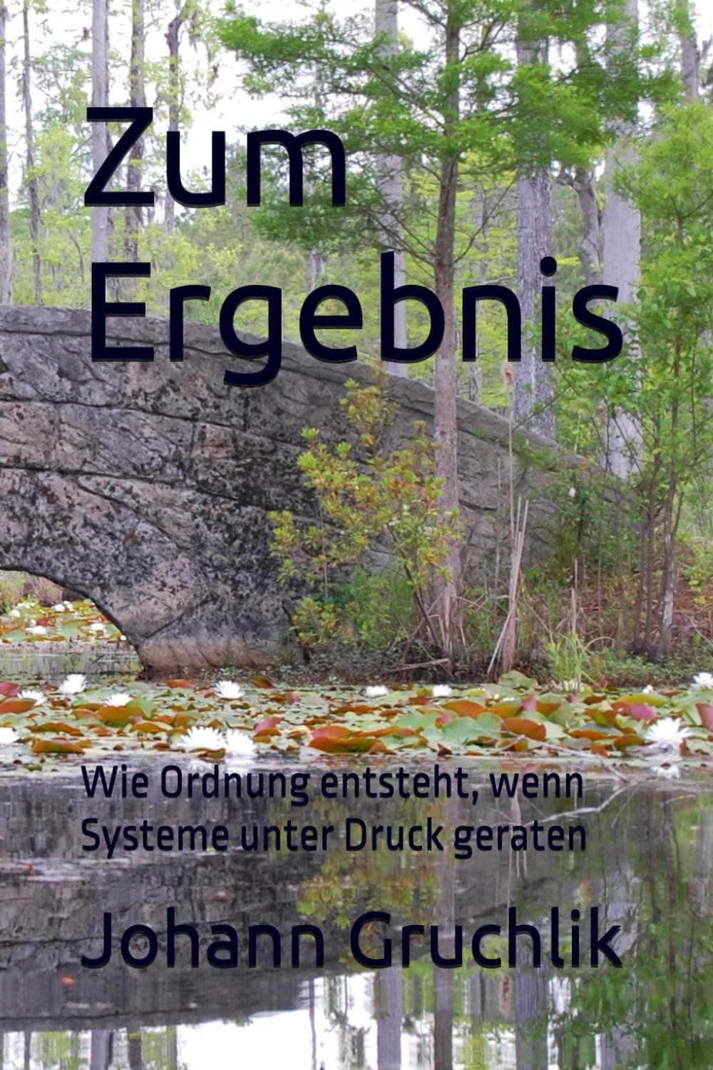 Book cover: "Zum Ergebnis" over a pond with lily pads, stone bridge, and trees.